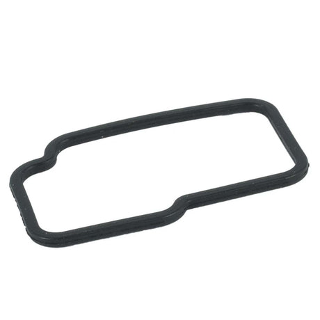 Black Planet Eclipse Geo3 3.1 3.5 GSL Body Gasket replacement part
Part # SPA400047A000